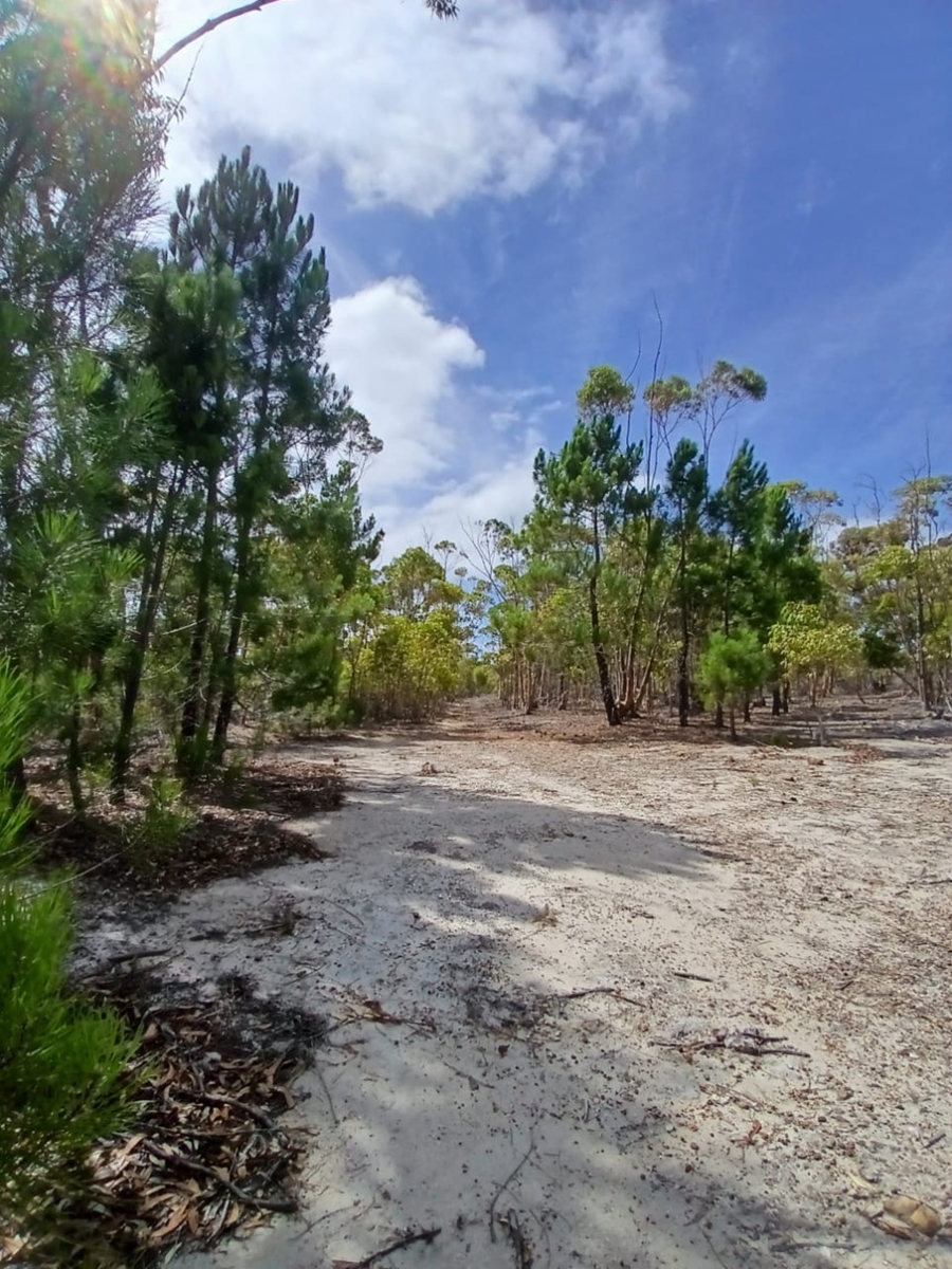 0 Bedroom Property for Sale in Napier Western Cape